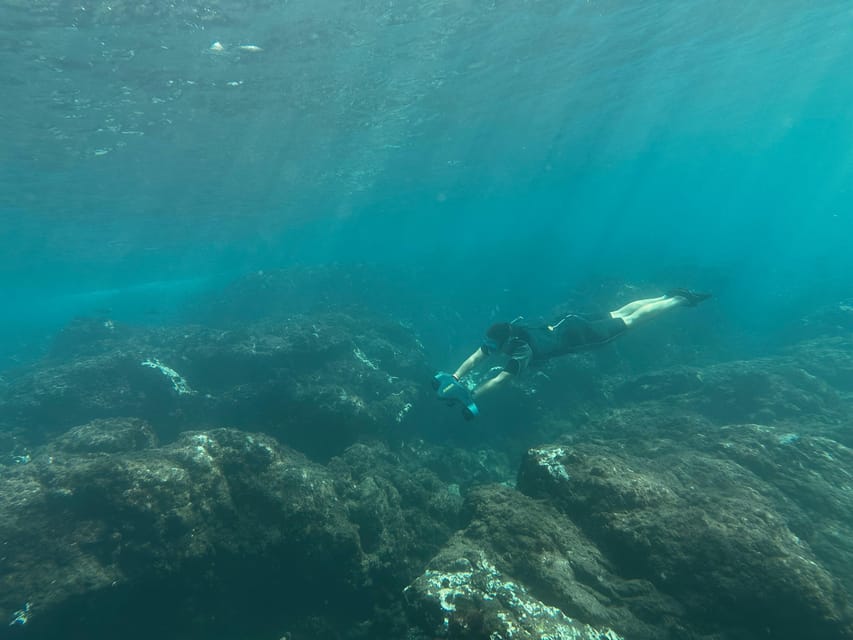 Scooter fun snorcel tour in turtle area - Water depth, timing, and staying comfortable for an hour in deep water