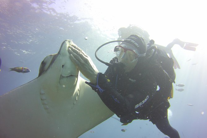 Scuba Diving Beginner's Session in Costa Adeje - The Calm Briefing: Safety Lessons You Can Actually Use