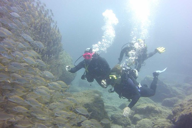 Scuba Diving Beginner's Session in Costa Adeje - Price and Value: What $114.93 Actually Buys You