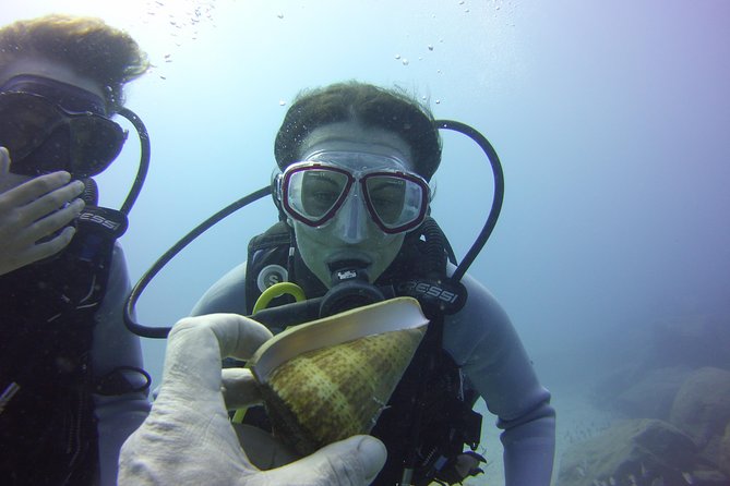 Scuba Diving Beginner's Session in Costa Adeje - Who This Fits Best (And Who Should Think Twice)