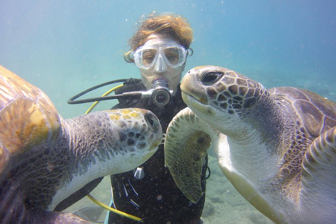 Scuba Diving Beginner's Session in Costa Adeje - The Open-Water Portion: Skills Check Up To 12 Meters