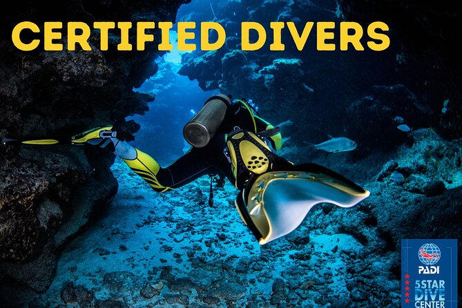 Scuba Diving for Certified Divers in Costa Adeje - Gear Included Means Less Carrying and More Actual Water Time