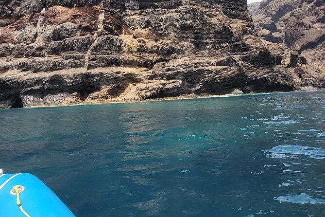 SEA SAFARI Dolphins, Whales, 3h speedboat DISCOVERY-TOUR - Watching Cliffs and Cruising the South Coast Back to Port