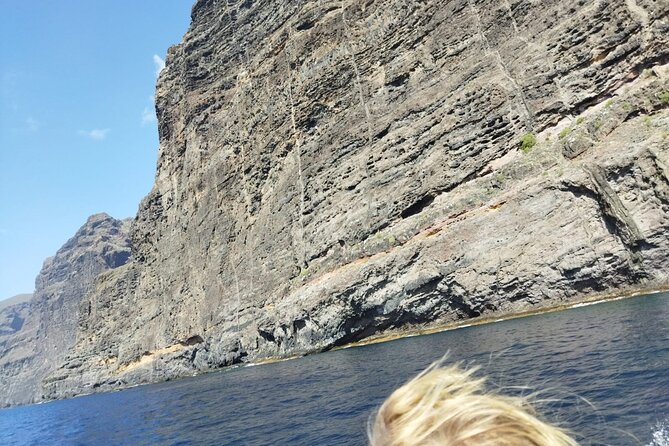 SEA SAFARI Dolphins, Whales, 3h speedboat DISCOVERY-TOUR - Price and Value: What $78.10 Buys You (And What It Doesn’t)