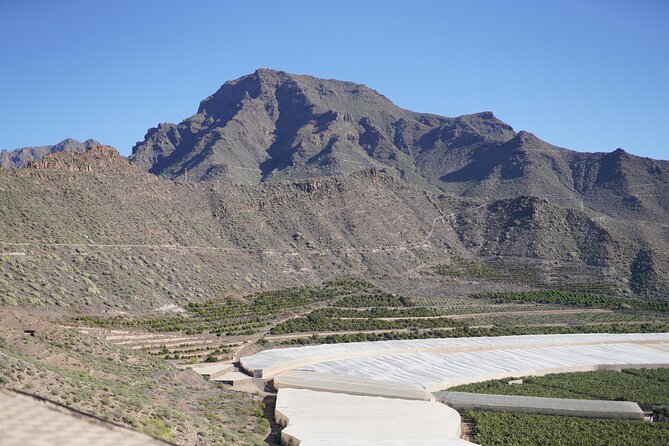Secret Volcano Tour by Tuk Tuk in Costa Adeje - Over Aqualand and the Big Waterpark View: Resort Life From the Road