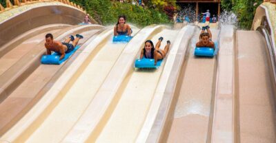 Siam Park Entry Tickets - Tower of Power and the Shark Tank Drop: The Ride Everyone Mentions