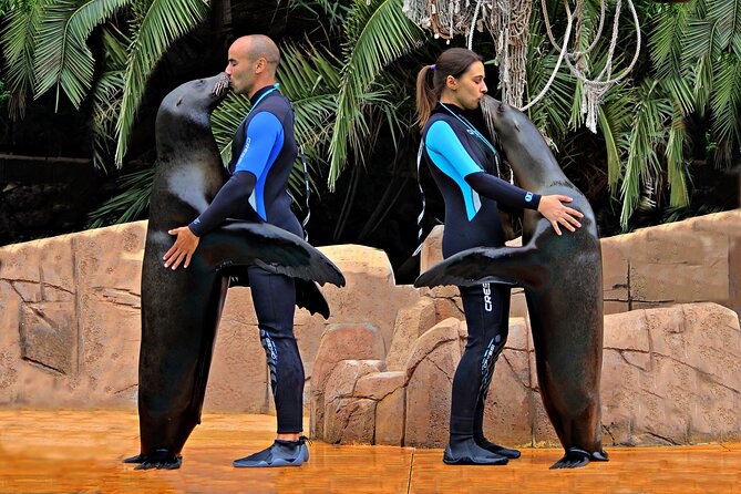 Skip the Line: Jungle Park Tenerife Entrance Ticket - Sea lions and other shows: plan around trainer-time energy