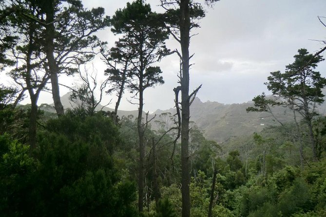 Small Group Guided Hiking in Anaga Rural Park in Tenerife - The 3-Hour Route: Monte de La Orilla, Camino de Solís, and Shaded Trails