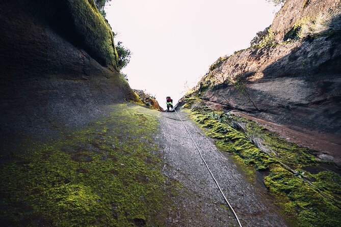 Small-Group Half-Day Canyoning in La Orotava - Gear check and safety briefing that actually helps