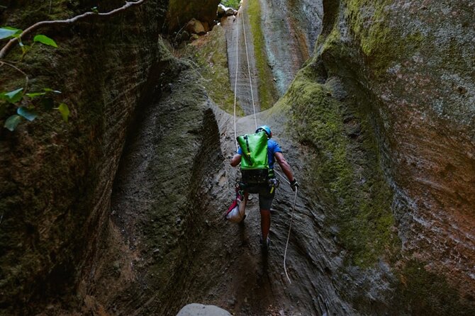 Small-Group Half-Day Canyoning in La Orotava - 7–8 rappels with different techniques in a volcanic canyon