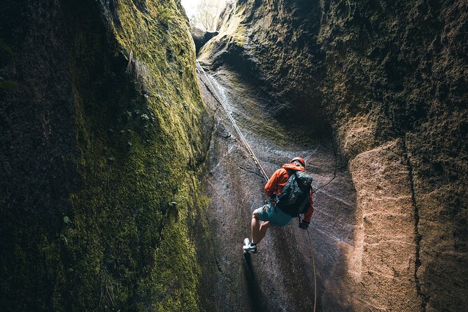 Small-Group Half-Day Canyoning in La Orotava - Hiking segments that keep the experience moving