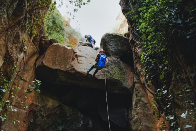 Small-Group Half-Day Canyoning in La Orotava - What to pack: shoes, water, warmth, and a rain plan