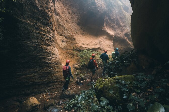 Small-Group Half-Day Canyoning in La Orotava - Small-group value: what you’re paying for at $96.55