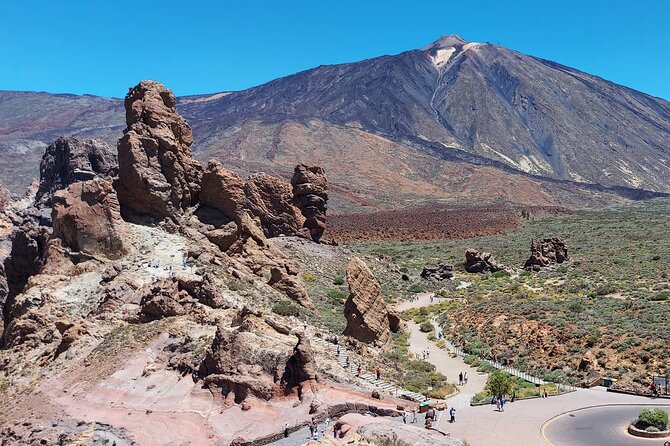 Small Group Teide National Park Volcanic and Forest Wonders - Teide National Park in a small group, not a big-bus blur