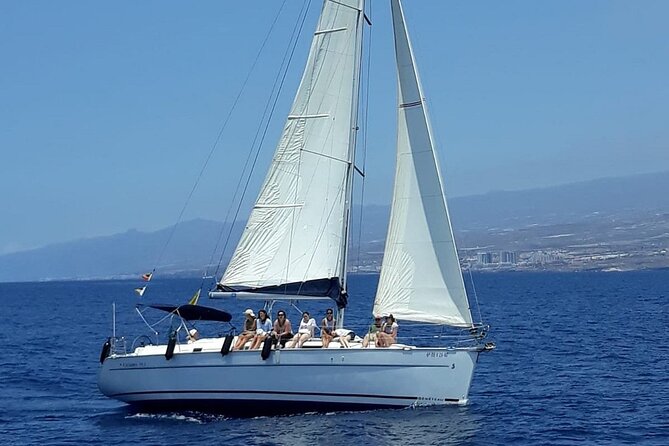 South Coast Tenerife Cruise - Swimming and snorkeling stops near Puertito Armeñime