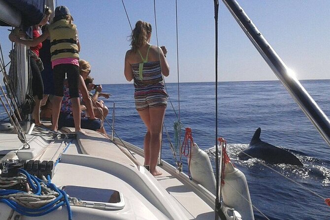 South Coast Tenerife Cruise - Timing choices and when weather changes the plan