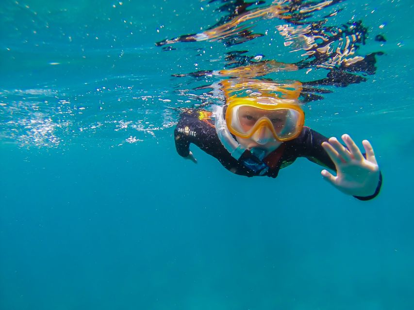 South Tenerife: Guided Snorkeling - Key things I’d bet on before you go