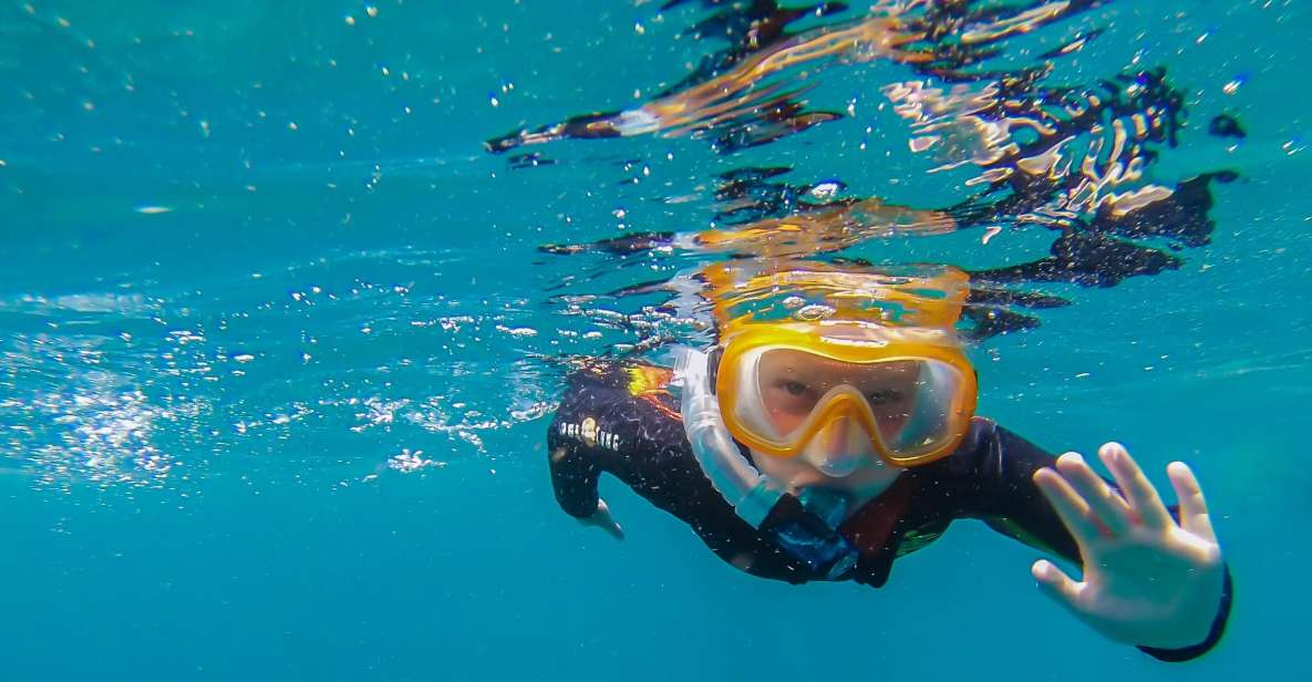 South Tenerife: Guided Snorkeling - What your instructor actually sets you up to do