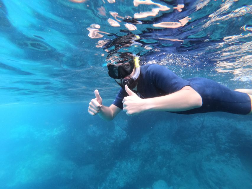 South Tenerife: Guided Snorkeling - Price and pickup rules: is $46 good value?