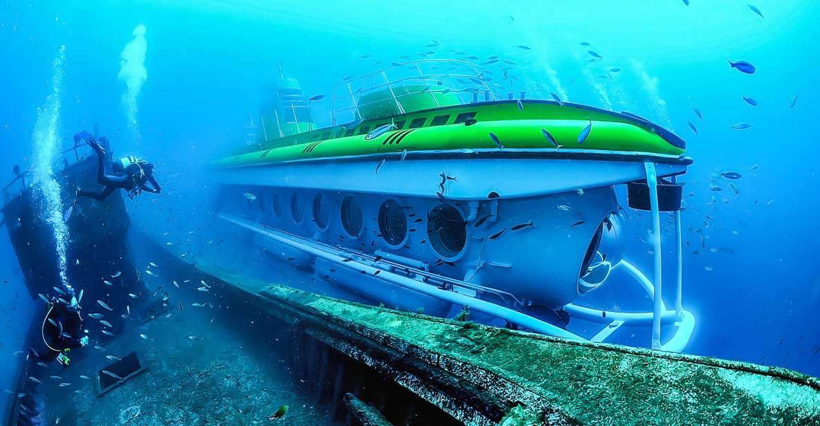 Southern Tenerife: 50-Minute Submarine Dive - What You’ll Actually See Through Those Panoramic Windows