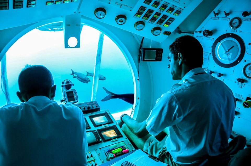 Southern Tenerife: 50-Minute Submarine Dive - Comfort Inside the Sub: Seats, Airflow, and Window-Time
