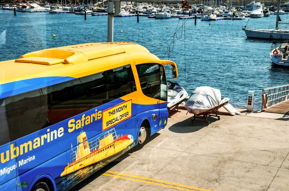 Southern Tenerife: 50-Minute Submarine Dive - The Underwater Segment: A Seabed Stop, Not Just a Quick Pass-By