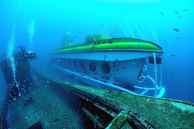 Submarine tour Tenerife: a 1 hour underwater experience - Marina Amarilla Check-In: Plan for the 30-Minute Early Arrival
