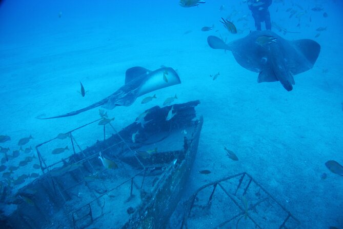 Submarine tour Tenerife: a 1 hour underwater experience - How Much of the 1 Hour Is Actually Underwater?