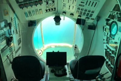 Submarine tour Tenerife: a 1 hour underwater experience - The Underwater Experience: Feeding Frenzy and a Sea-Floor Stop