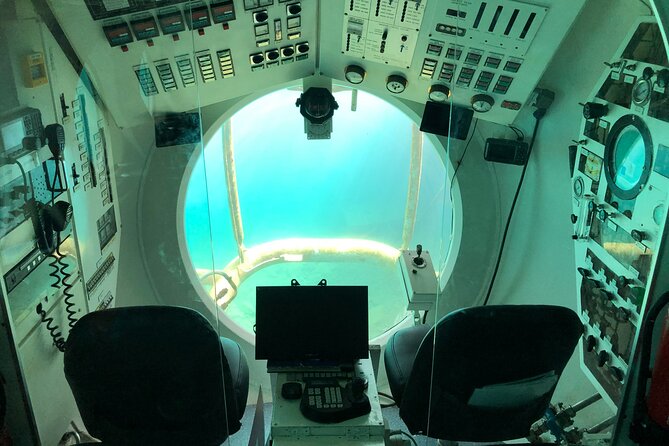 Submarine tour Tenerife: a 1 hour underwater experience - The Underwater Experience: Feeding Frenzy and a Sea-Floor Stop