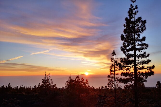 Sunset & Stargazing Experience From Teide - The Stargazing at Around 2000m: Telescopes, Lasers, and Real Night