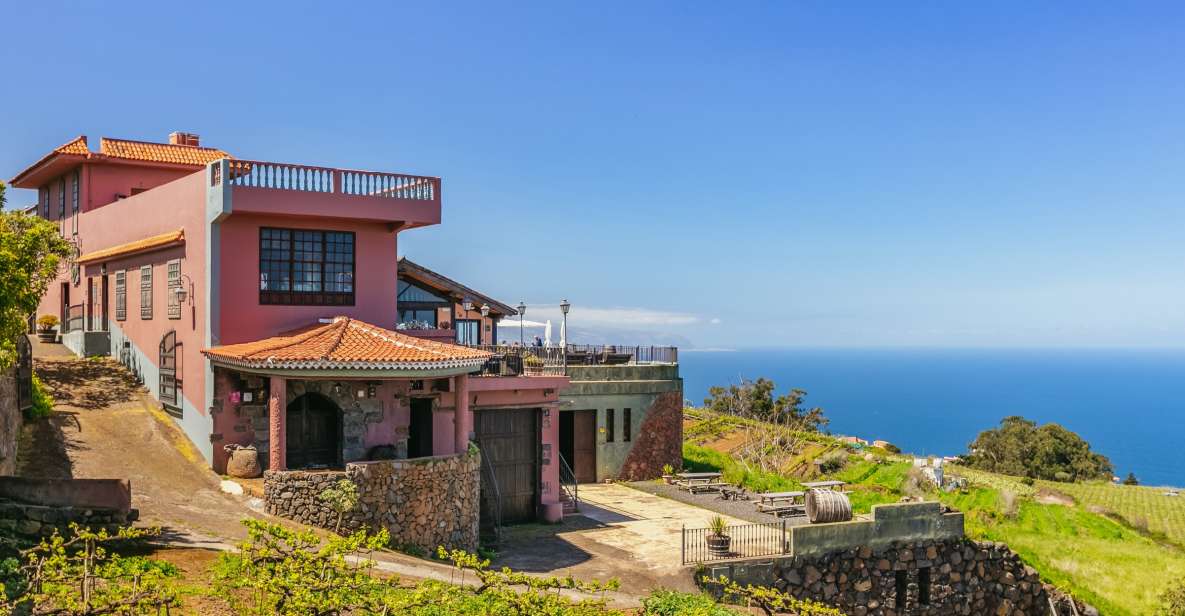 Tacoronte: Guided Winery Tour with Wine and Cheese Tastings - Key highlights worth marking on your map