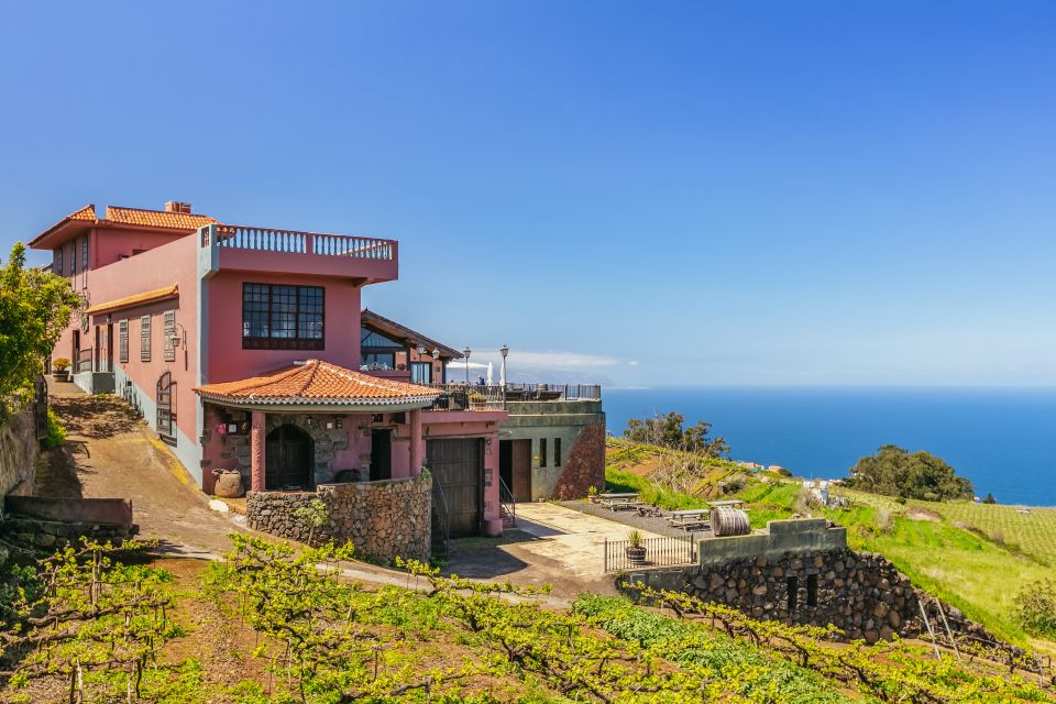 Tacoronte: Guided Winery Tour with Wine and Cheese Tastings - Bodegas Monje at El Sauzal: what makes this Tenerife stop feel different