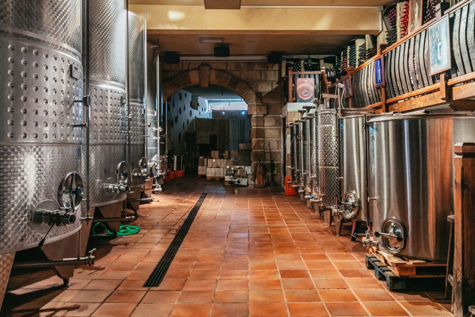Tacoronte: Guided Winery Tour with Wine and Cheese Tastings - Four wines and four cheeses: the tasting flight that drives the value