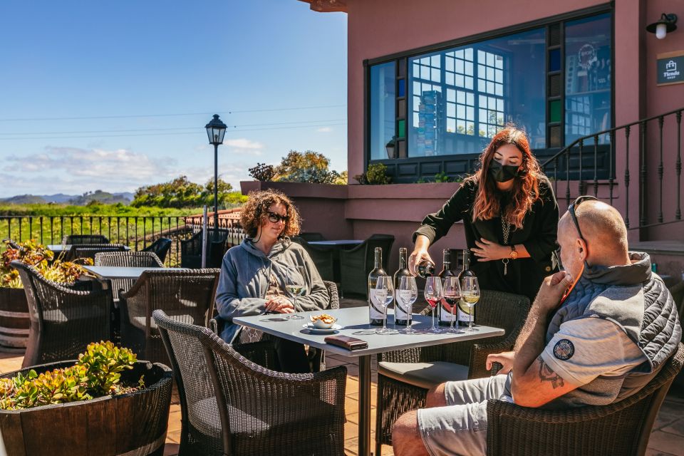 Tacoronte: Guided Winery Tour with Wine and Cheese Tastings - Pairing notes: what to listen for with each glass
