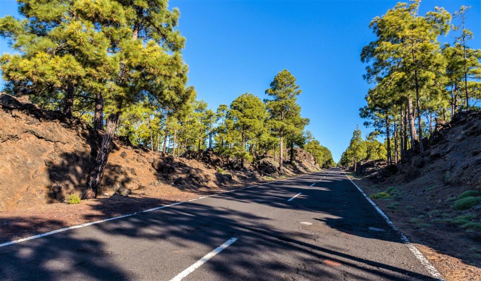 Teide: Guided Sunset & Stargazing Tour by Night with Dinner - The dinner stop: 3 courses with drinks, timed for the night show