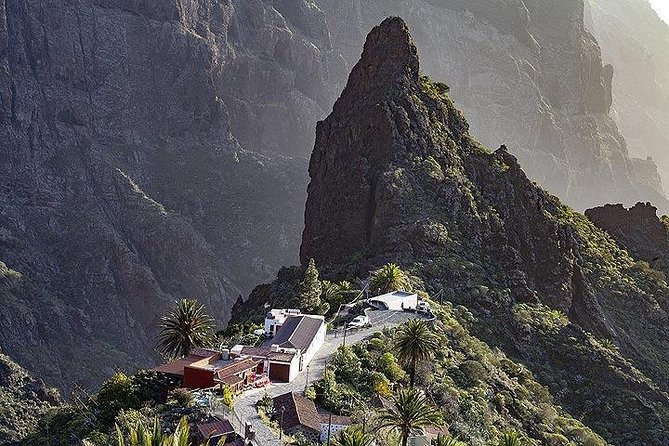 Teide-Icod-Garachico-Masca (Most popular bus tour in Tenerife) - Lunch timing: what’s included and how to handle the gap