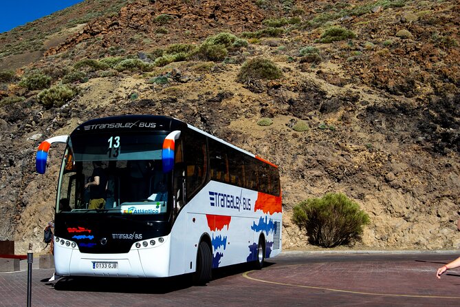Teide National Park - Price and value: what $74 includes, and what costs extra