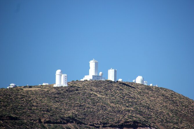 Teide National Park Exclusive and private Tour - Stop 2: El Pino Gordo, the giant tree stop