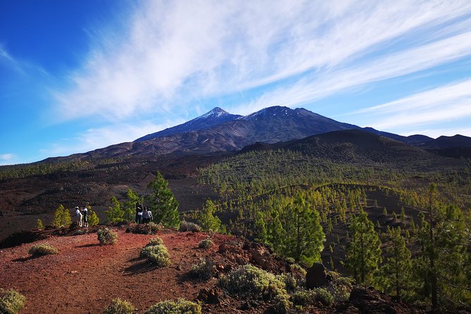 Teide National Park for smaller groups - Key highlights at a glance