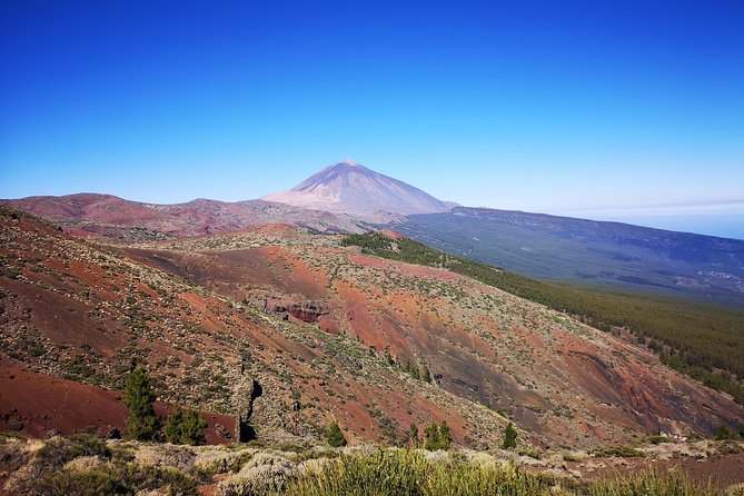 Teide National Park for smaller groups - Vilaflor: coffee and acclimatizing at nearly 1,500m