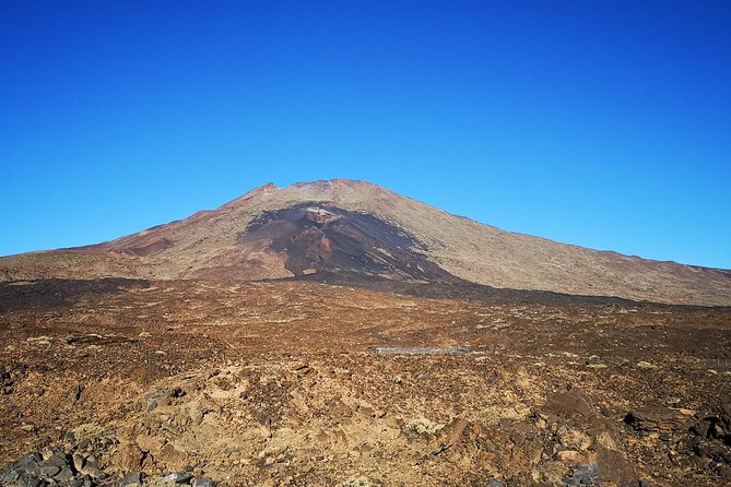 Teide National Park for smaller groups - El Pino Gordo: Tenerife’s oldest thick pine
