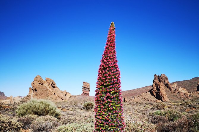 Teide National Park for smaller groups - Paradores Cañadas del Teide and Roques de García: the main show