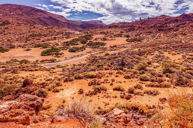 Teide National Park Half Day Tour with Hotel Pick up - Inside Teide National Park: Roques de Garcia and Pico Viejo Stops