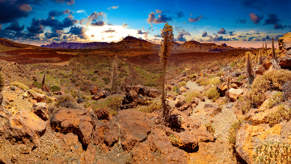 Teide National Park: Landscapes and Viewpoints Private Tour - Key takeaways before you go