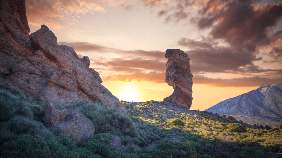 Teide National Park: Landscapes and Viewpoints Private Tour - El Portillo Visitor Center: Your Fast Course in What You’re Actually Seeing