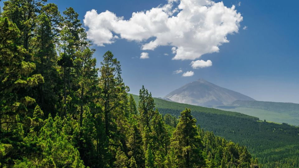 Teide National Park: Landscapes and Viewpoints Private Tour - Who This Tour Fits Best (and Who Might Prefer Something Else)