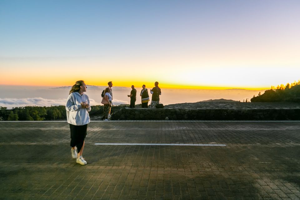 Teide National Park: Sunset & Stargazing Safari with Dinner - What to expect from the 1.5-hour guided sky session