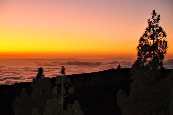 Teide National Park Sunset & Stargazing with Dinner (Star Safari) - Mirador de las Narices del Teide: telescopes, lasers, and the real star show