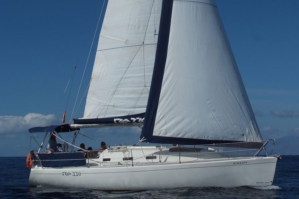Tenerife: 3 &-6 Hour Private Whale & Dolphin Watching - Price and Value: When a Private Charter Makes Sense